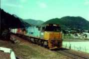DXR 8007 Picton