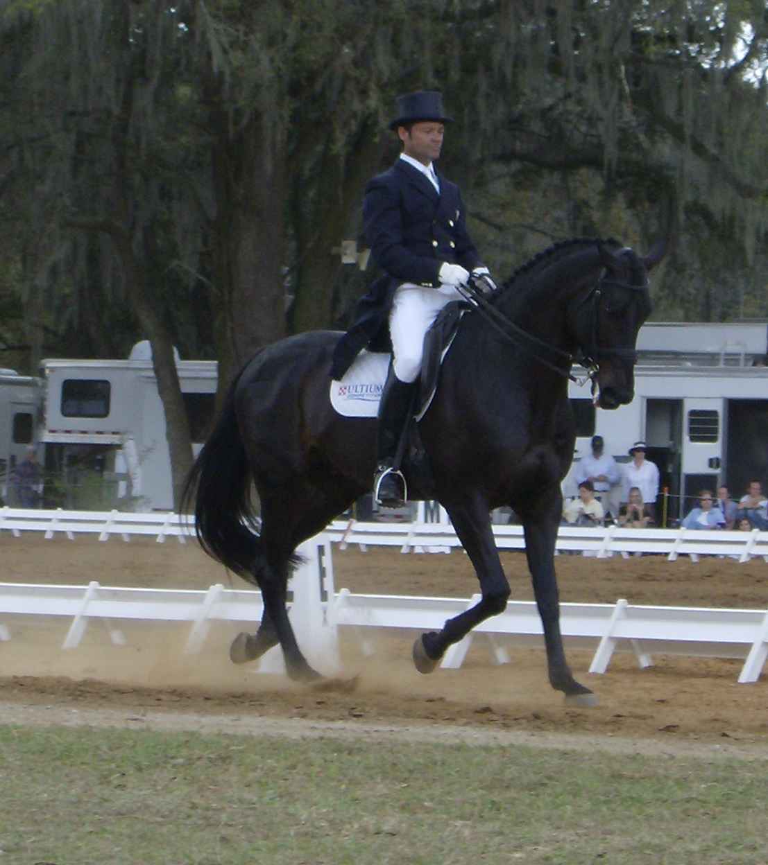 Dressage