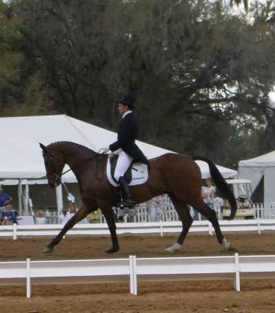Dressage