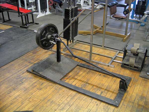 Back Exercise