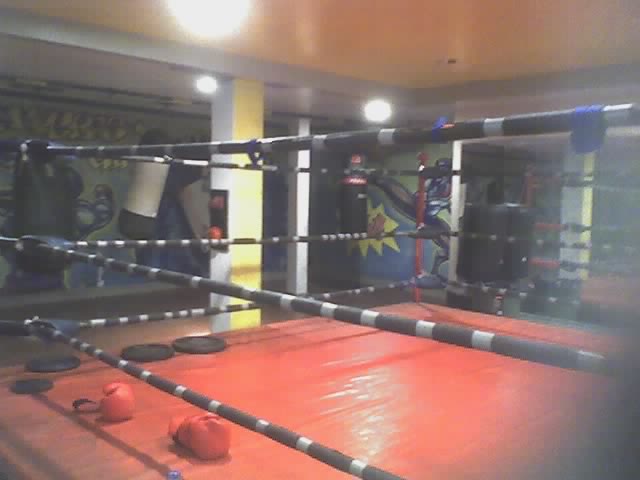 Downstairs Boxing Ring