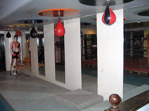 Speed Bags