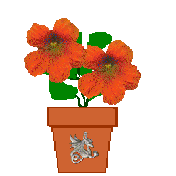 The Site Fights Spirit Flowers