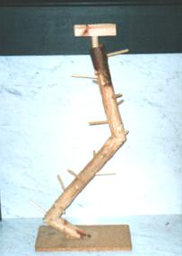 The Leg