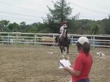 Mikki calling Dressage