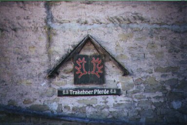 The Mark of the Trakenher