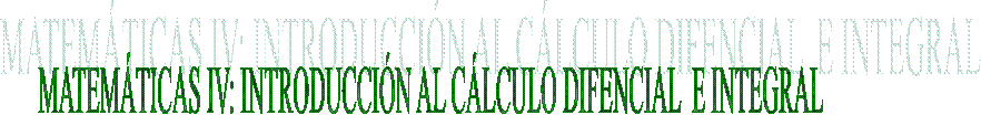 MATEM�TICAS IV: INTRODUCCI�N AL C�LCULO DIFENCIAL  E INTEGRAL
