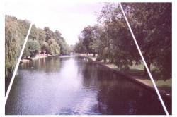Picture taken from butterfly bridge