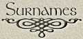 Our Surnames, including Mullican and Relating Lines