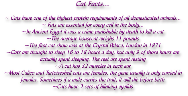 Fun Facts