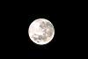 The Moon