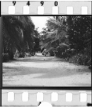 Mahalevona