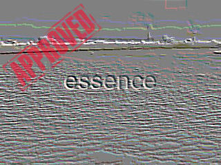 essence