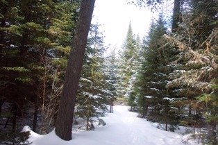 scenic trail