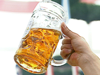 Bericht �ber den Michaeligarten