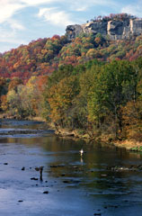 Winkley Shoal on the Little Red River