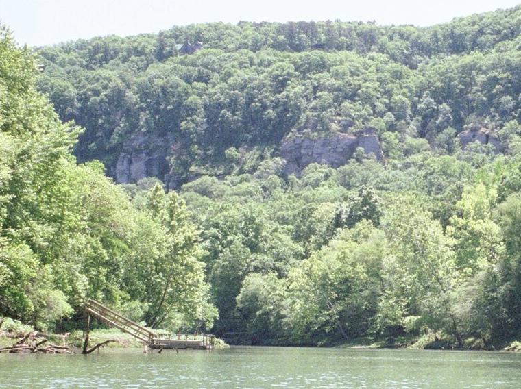 Libby Bluff
