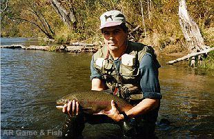 Norfork Rainbow