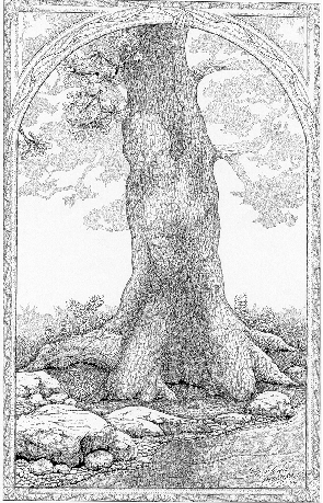 Tree.gif (132957 bytes)