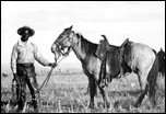 westwardwagon