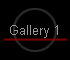 Gallery 1