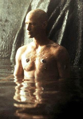 Keanu Reeves was bald in The Matrix, and he was really great!