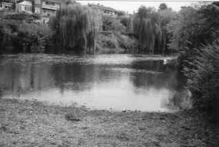Looking upstream towards the Weir at Shrewsbury