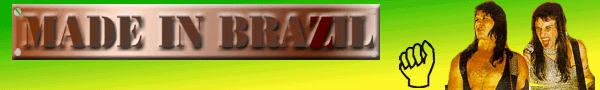 baner_made.gif (33660 bytes)