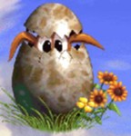 Az elevensz�l� mad�r toj�sa.