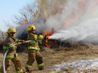 Brush Training 3/13/04