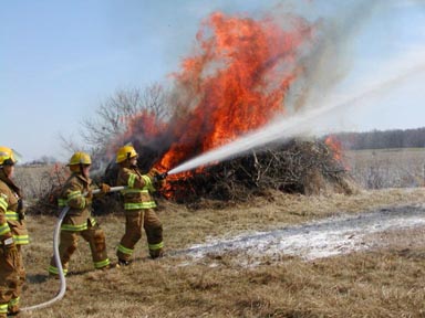 Brush Training 3/13/04