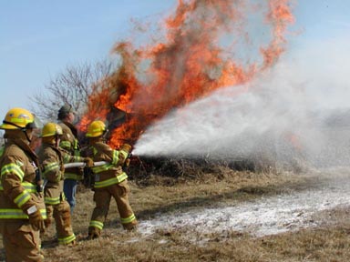 Brush Training 3/13/04