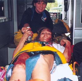 SEHS 2002