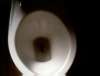 Niel's shit
