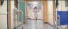 h2karenhallway.JPG (23620 bytes)