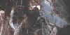h5mikehangcharlie.JPG (11081 bytes)