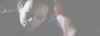 h7mikevanreach.jpg (9238 bytes)