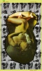sexbook014