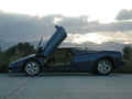 Lamborgini
