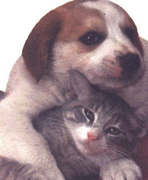 Larger Image
