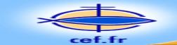 Logo cef.fr