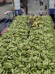 Bananas