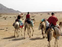 Ras Abu Galum
