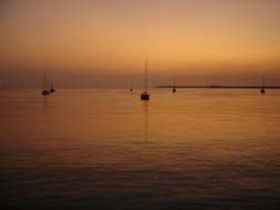 Sailboats