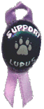 Support Lupus - Make a Donation