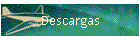 Descargas