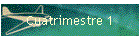 Cuatrimestre 1