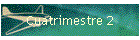 Cuatrimestre 2