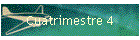 Cuatrimestre 4