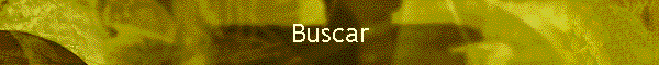 Buscar